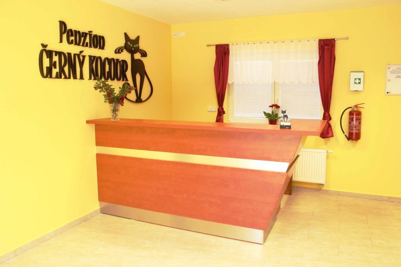 Sarovy Cerny Kocour Apart Hotel מראה חיצוני תמונה