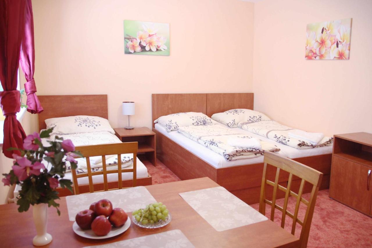 Sarovy Cerny Kocour Apart Hotel מראה חיצוני תמונה
